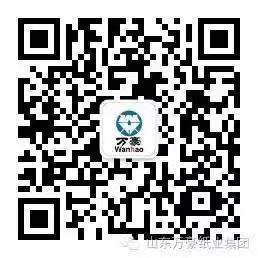 华体会体育官方网站-华体会体育（中国）
