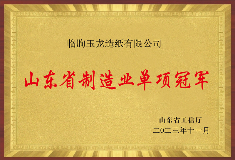 山东省制造业单项冠军.png